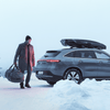 Thule Vector M Dakkoffer Grijs
