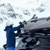 Thule Vector L Dakkoffer Zwart