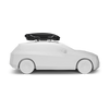 Thule Motion 3 L Dakkoffer Zwart