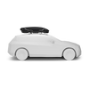 Thule Motion 3 dakkoffer