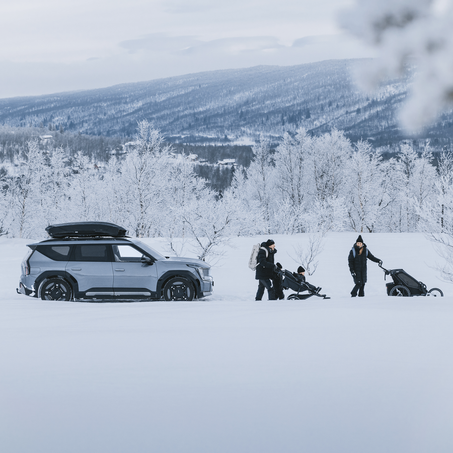 Thule Motion 3 L Dakkoffer Zwart