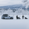 Thule Motion 3 XL Dakkoffer Grijs