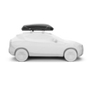 Thule Pulse 2 L Dakkoffer Zwart