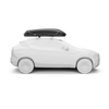 Thule Pulse 2 XL Dakkoffer Zwart