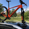 Tree Frog Model Pro 1 fietsendrager 20x110mm