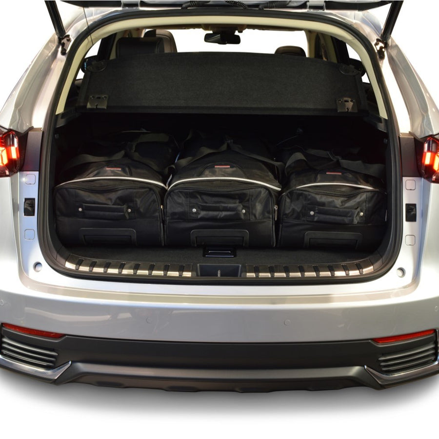 Car-Bags Lexus NX I Reistassen