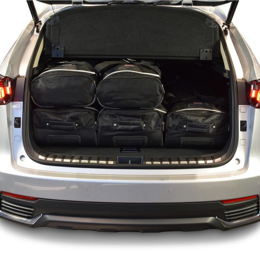 Car-Bags Lexus NX I Reistassen
