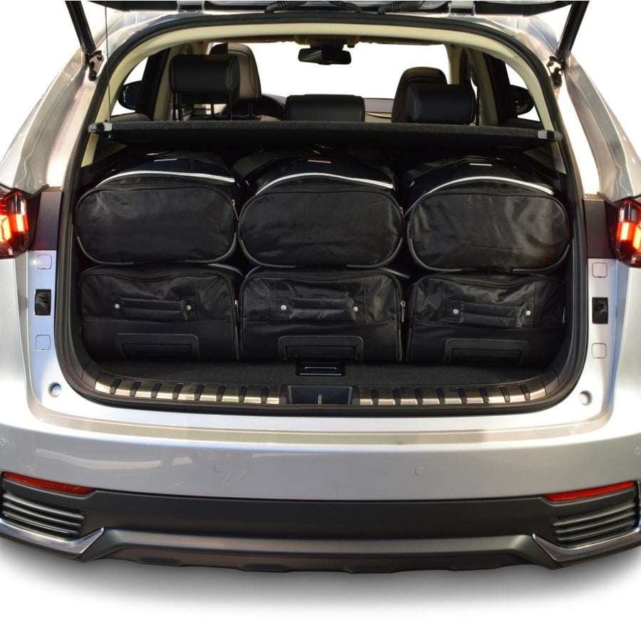 Car-Bags Lexus NX I Reistassen